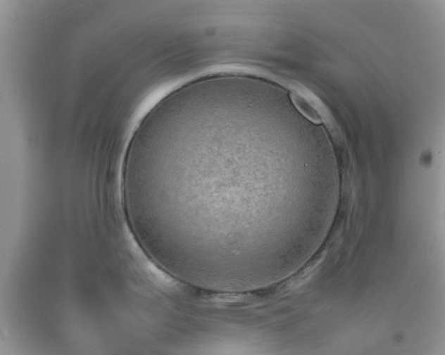 X0000092051199200709191114