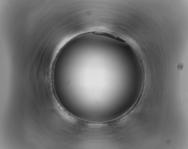 X0000092051200200709191114