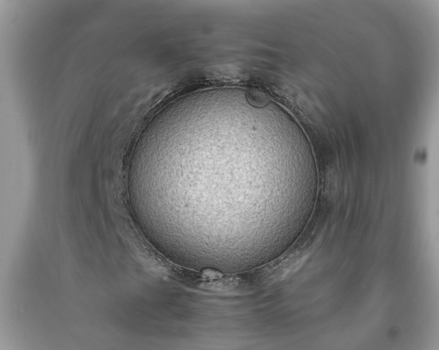 X0000092051201200709191114