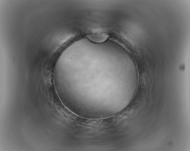 X0000092051205200709191114