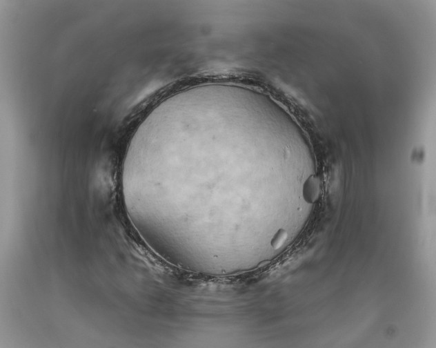 X0000092051206200709191114