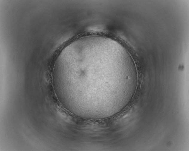 X0000092051207200709191114