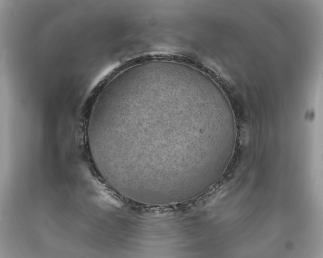 X0000092051208200709191114