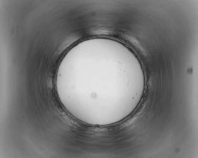 X0000092051209200709191114