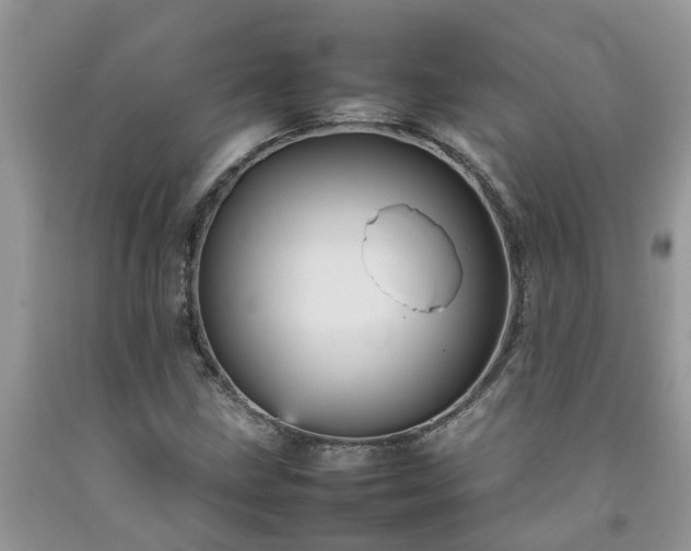 X0000092051211200709191114