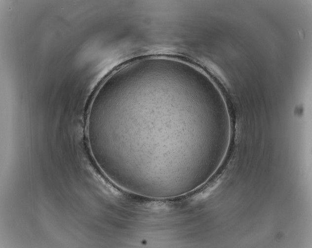 X0000092051212200709191114