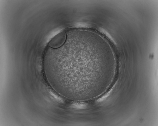 X0000092051213200709191114