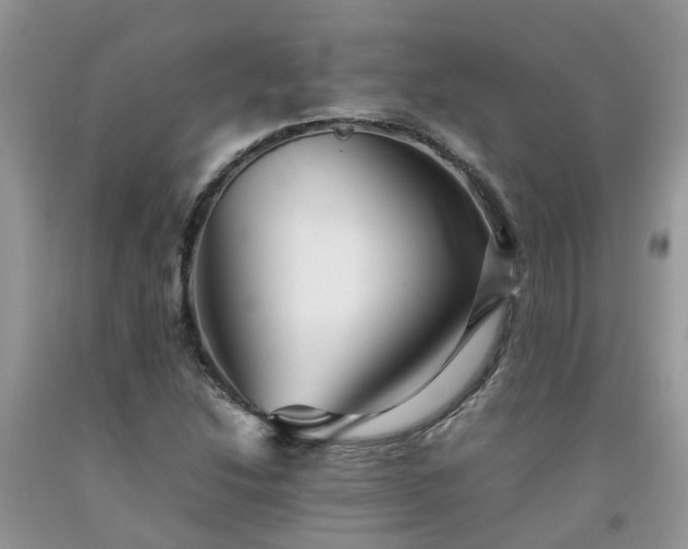 X0000092051214200709191114