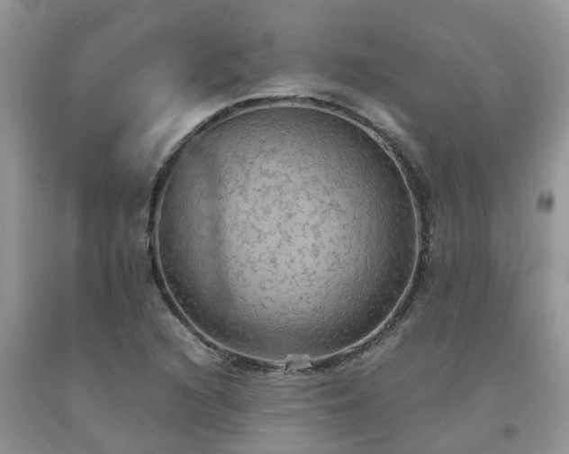 X0000092051216200709191114