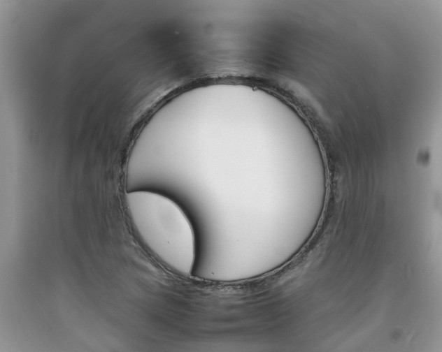 X0000092051217200709191114