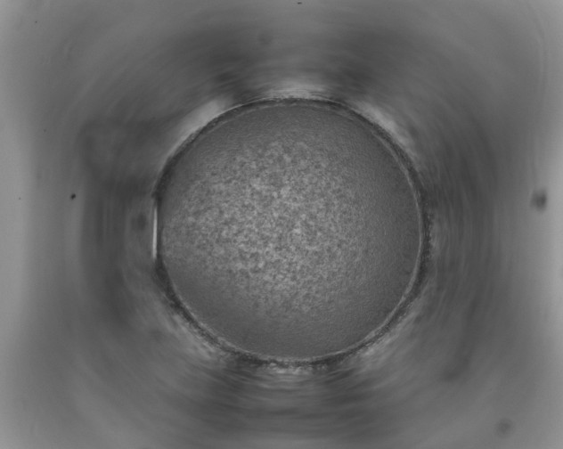 X0000092051219200709191114