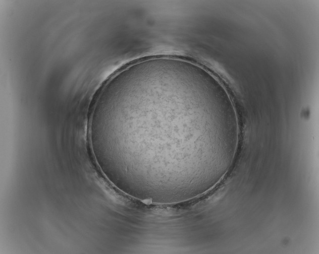 X0000092051220200709191114