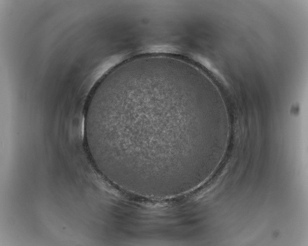 X0000092051221200709191114