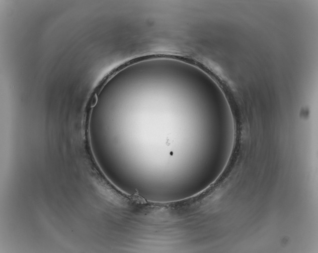 X0000092051222200709191114