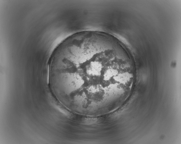 X0000092051223200709191114