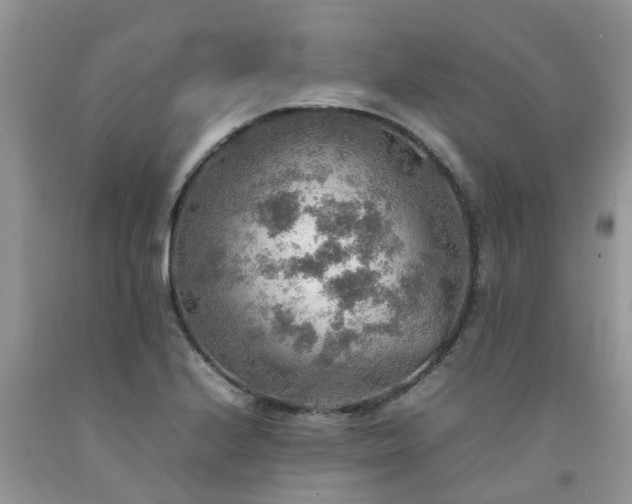 X0000092051224200709191114