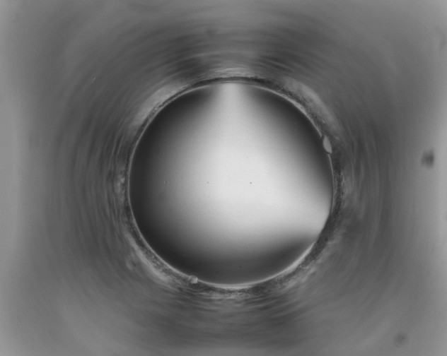 X0000092051225200709191114