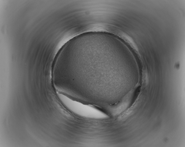 X0000092051226200709191114