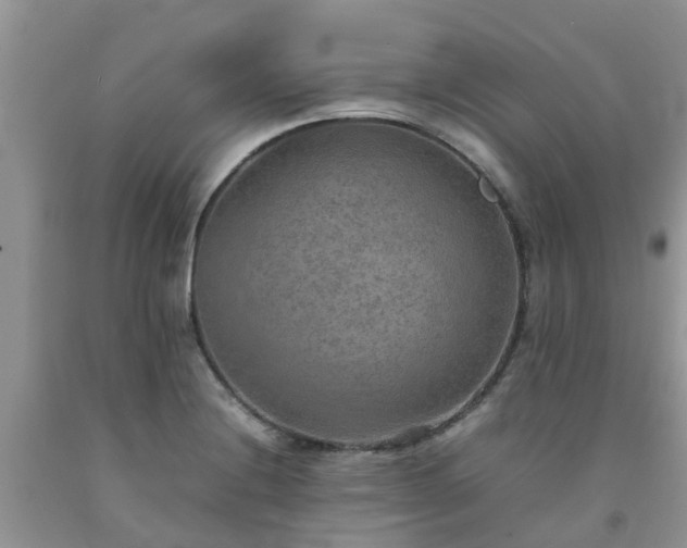 X0000092051228200709191114