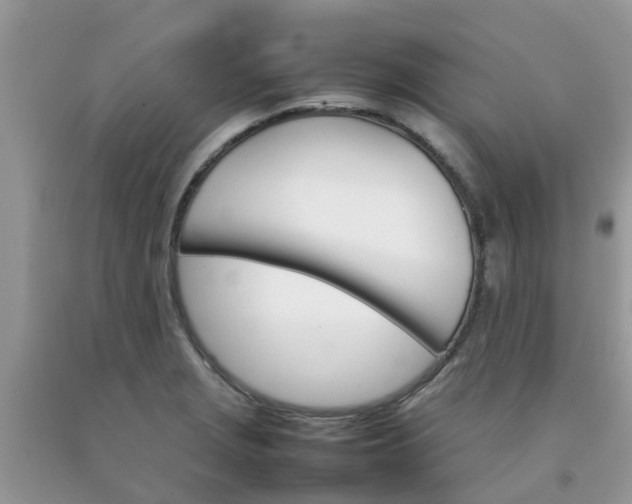 X0000092051229200709191114