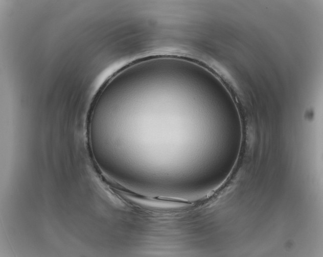 X0000092051230200709191114