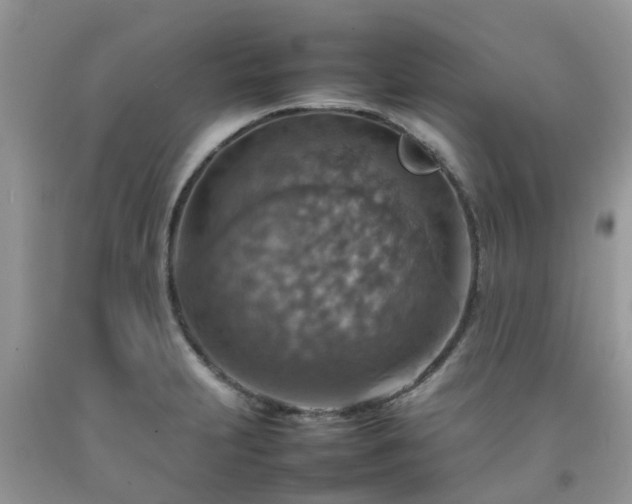 X0000092051231200709191114