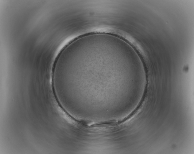 X0000092051232200709191114