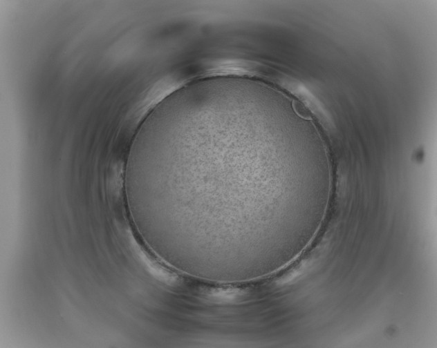 X0000092051233200709191114