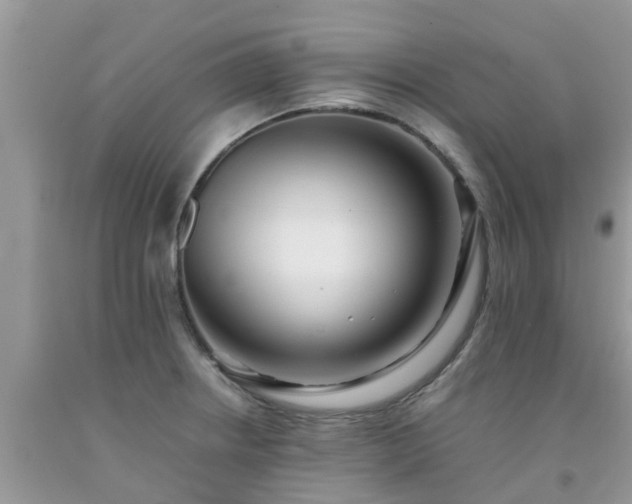 X0000092051234200709191114