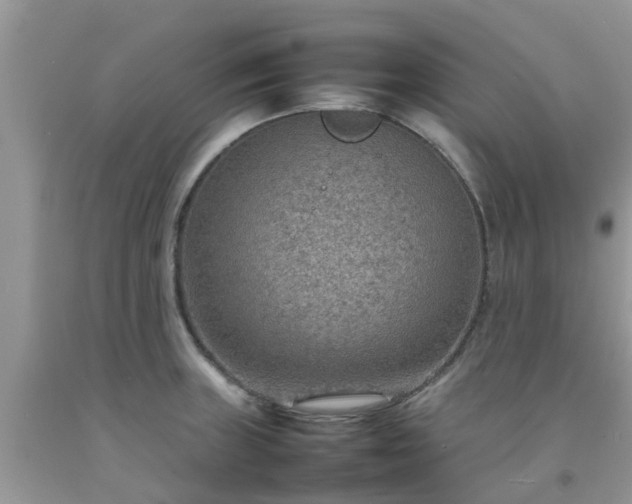 X0000092051235200709191114