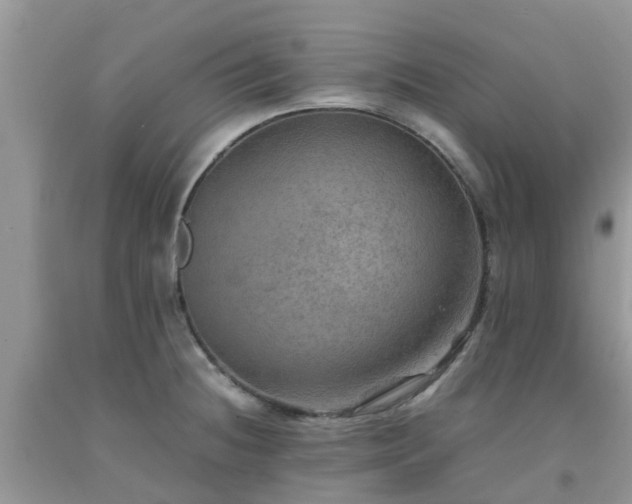 X0000092051236200709191114