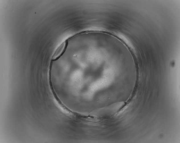 X0000092051237200709191114