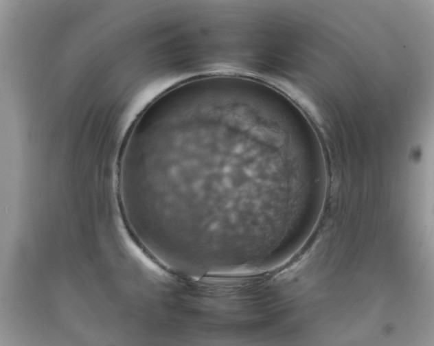 X0000092051239200709191114