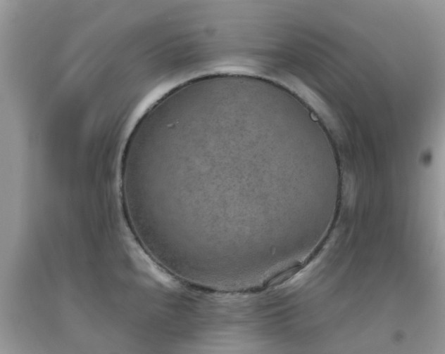 X0000092051240200709191114