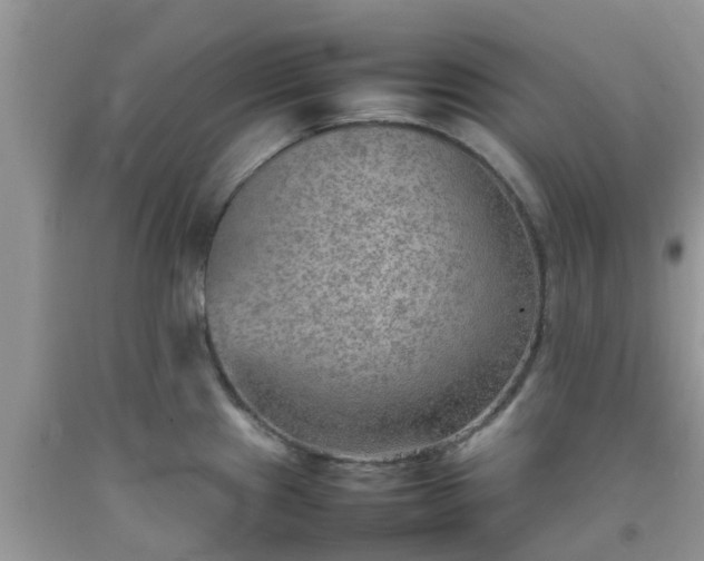 X0000092051241200709191114