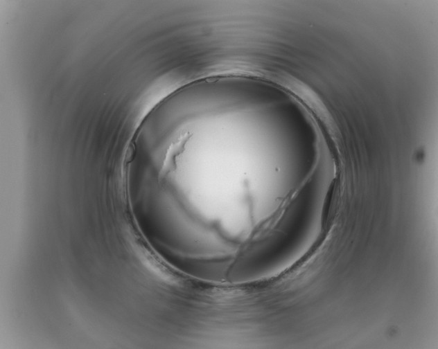 X0000092051242200709191114