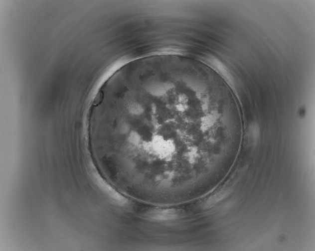 X0000092051243200709191114