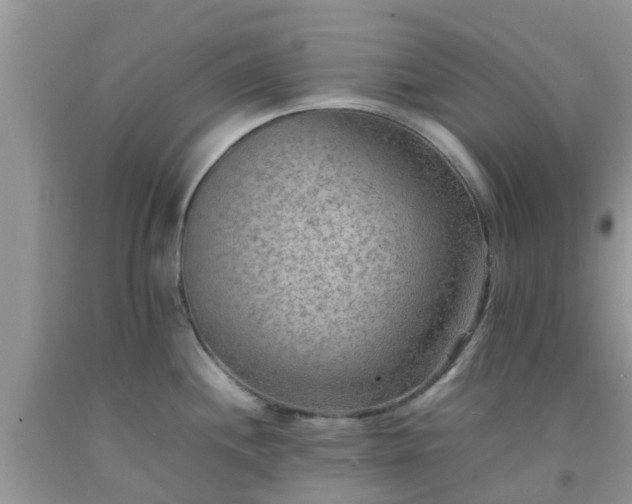 X0000092051244200709191114