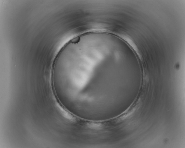 X0000092051245200709191114