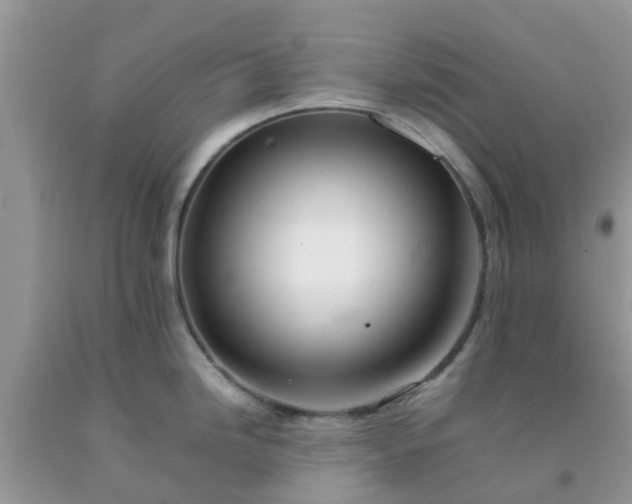 X0000092051246200709191114