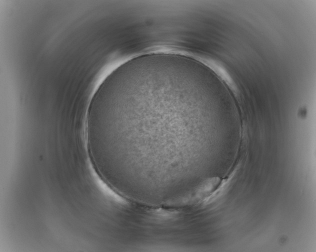 X0000092051247200709191114