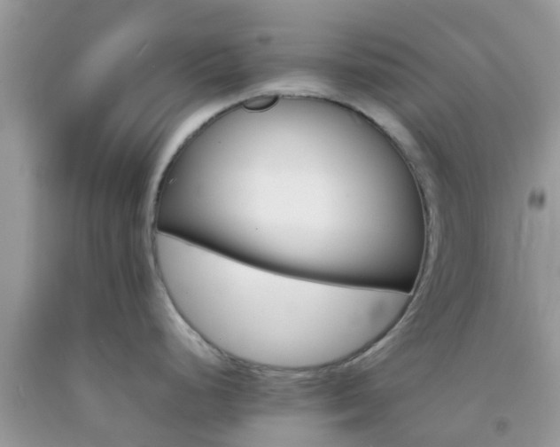 X0000092051248200709191114