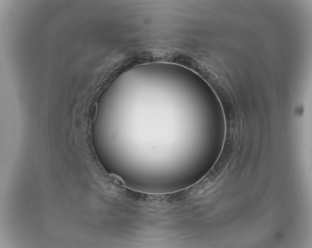 X0000092051249200709191114