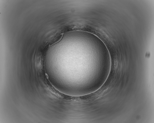 X0000092051250200709191114