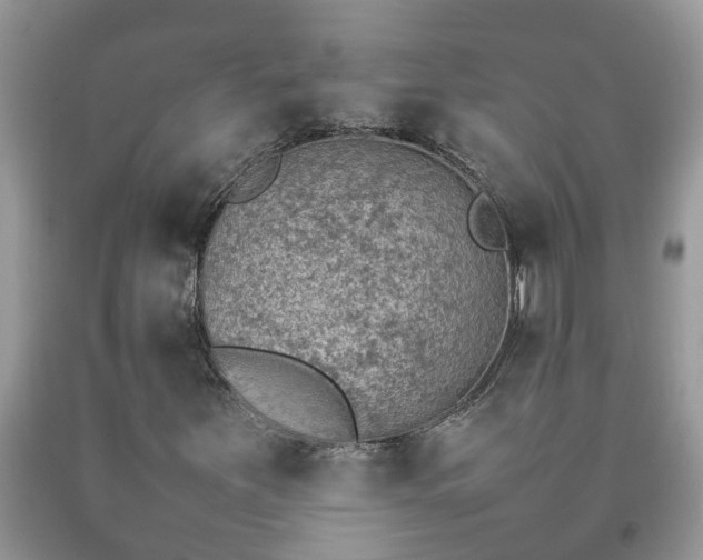 X0000092051251200709191114