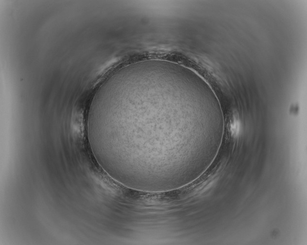 X0000092051252200709191114