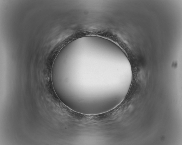 X0000092051253200709191114