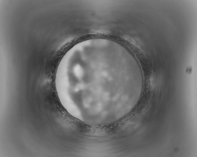 X0000092051254200709191114