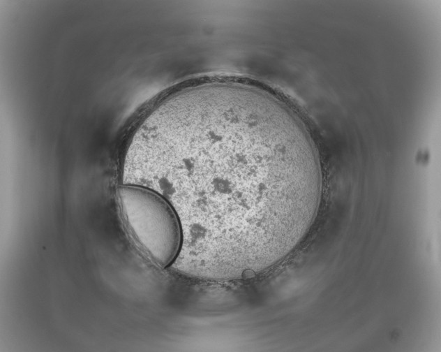 X0000092051255200709191114