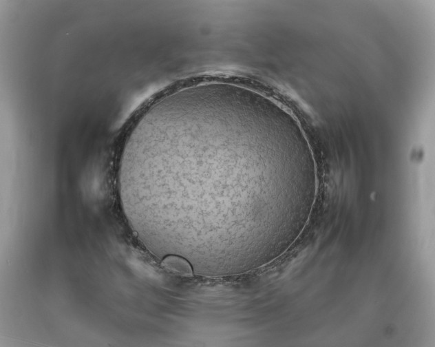 X0000092051256200709191113